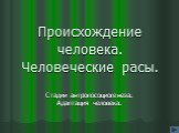 Происхождение человека. Человеческие расы. Стадии антропосоциогенеза. Адаптация человека.