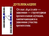 ДУПЛИКАЦИИ. От лат. duplicatio — удвоение — структурная хромосомная мутация, заключающаяся в удвоении участка хромосомы.