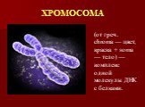 ХРОМОСОМА. (от греч. chroma — цвет, краска + soma — тело) — комплекс одной молекулы ДНК с белками.