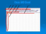 Окно MS Excel
