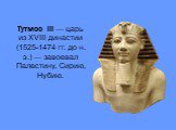 Тутмос III — царь из XVIII династии (1525-1474 гг. до н. э.) — заво­евал Палестину, Сирию, Нубию.