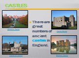 castles. There are great numbers of ancient castles in England. Windsor Castle  Bodiam Castle Castle Rising  Tower of London