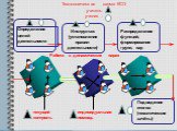 Технологическая схема КСО учитель- ученик -. Работа в динамических парах