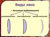 Виды линз. Выпуклые (собирающиея) двояковыпуклая плосковыпуклая вогнуто-выпуклая