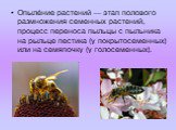 Опыле́ние растений — этап полового размножения семенных растений, процесс переноса пыльцы с пыльника на рыльце пестика (у покрытосеменных) или на семяпочку (у голосеменных).