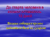 До старта человека в космос оставалось 18 дней. Больше собакам в космос подняться было не суждено