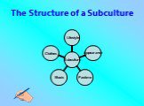 The Structure of a Subculture