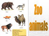 Wild and farm animals (Дикие и домашние животные) Слайд: 5
