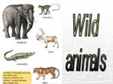 Wild and farm animals (Дикие и домашние животные) Слайд: 6