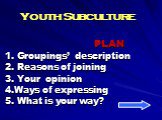 Youth Subculture. PLAN 1. Groupings’ description 2. Reasons of joining 3. Your opinion 4.Ways of expressing 5. What is your way?