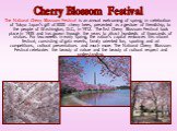 The National Cherry Blossom Festival is an annual welcoming of spring, in celebration of Tokyo Japan's gift of 3000 cherry trees, presented as a gesture of friendship, to the people of Washington, D.C., in 1912. The first Cherry Blossom Festival took place in 1935 and has grown through the years to 