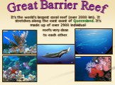 It’s the world’s largest coral reef (over 2000 km). It stretches along the east coast of Queensland. It’s made up of over 2900 individual reefs very close to each other. Great Barrier Reef
