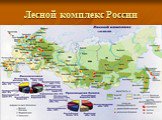 Лесной комплекс России Слайд: 6