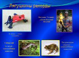 Лягушка Голиаф – самая большая лягушка. Пумилио – самая ядовитая. Сибирский Углозуб – хладолюбивое животное. Лягушкины рекорды. Остромордая лягушка – хладолюбивое животное