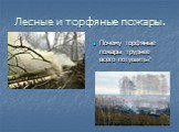 Почему торфяные пожары труднее всего потушить?