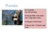 Это панда. Она толстая и ленивая. Она имеет маленькие черные ушки, глаза и нос. У неё короткая шея. У неё нет хвоста. It is a panda. It is fat and lazy. It has got little ears, eyes and a big black nose. It has got a short neck. It has no tail. = It hasn’t got a tail. Panda