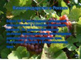 Более 99 % виноградных насаждений сосредоточено в Северно-Кавказском регионе. По административному делению промышленные виноградники размещены в Краснодарском крае, Ростовской области и Ставропольском крае. Виноградарство в России