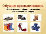 Обувная промышленность. Изготовление обуви  различных назначений и видов.