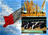 Они обеспечивают свыше 2/3 продукции, занимая господствующее положение в производстве практически всех отраслей сельского хозяйства. Главная отрасль сельского хозяйства — животноводство мясомолочного направления. В растениеводстве преобладает зерновое хозяйство; основные культуры — пшеница, ячмень, 