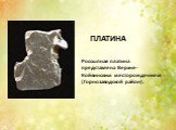 Россыпная платина представлена Верхне-Койвинским месторождением (Горнозаводской район). ПЛАТИНА