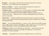 Поса́дник — глава города, «посаженый» (назначенный) князем в землях, входивших в состав Древнерусского государства. Писе́ц (или пи́сарь) — человек, который профессионально занимается переписыванием книг и документов от руки. Рукописная книга — это книга, текст и иллюстрации к которой воспроизведены 