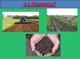 Какая почва в республике Мордовия? (4класс) Слайд: 8