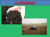 Какая почва в республике Мордовия? (4класс) Слайд: 9