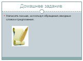 Домашнее задание. Написать письмо, используя обращения, вводные слова и предложения.