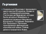 Гортензия. Уникальный бриллиант персикового цвета весом 20 каратов. Назван в честь голландской королевы Гортензии де Беахарнис, которая была дочерью Жозефины и приемной дочерью Наполеона Бонапарта. Со времен Людовика XIV бриллиант Гортензия принадлежал французской королевской семье. Сейчас демонстри