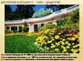 Достопримечательности сочи – дендрарий. Сочинский Дендрарий. В 1889-м году рязанский дворянин купил землю на Черноморском побережье, а в 1892-м основал на ней частновладельческий парк, который превратился со временем в великолепнейший музей живой природы.