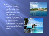 Мальдивы широко известны своими курортами, каждый из которых - это свой собственный неповторимый мир, окруженный чистейшими золотыми песками. Это место "на краю света", где нет шума городов и европейской цивилизации, где только экзотическая природа и бесконечные просторы океана.