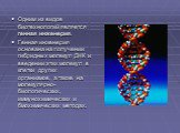 Одним из видов биотехнологий является генная инженерия. Генная инженерия основана на получении гибридных молекул ДНК и введении этих молекул в клетки других организмов, а также на молекулярно-биологических, иммунохимических и бмохимических методах.