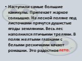 Наступили самые большие каникулы. Припекает жаркое солнышко. На лесной поляне под листочками прячутся душистые ягоды земляники. Весь лес наполнился птичьими трелями. В полях желтыми глазками с белыми ресничками качают ромашки. Это радостное. лето.