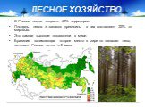 В России лесом покрыто 45% территории. Площадь лесов и запасов древесины в них составляет 22% от мировых. Это самые высокие показатели в мире. Бразилия, занимающая второе место в мире по запасам леса, уступает России почти в 2 раза.