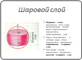 Шаровой слой. Шаровым слоем называется часть шара, расположенная между двумя параллельными плоскостями, пересекающими шар. Круги, получившиеся в сечении шара этими плоскостями, называются основаниями шарового слоя. Расстояние между плоскостями называется высотой шарового слоя.