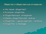 Общество и общественные отношения. Что такое общество? Функции общества. Общественные отношения Сферы общественной жизни Общество – динамическая система Общество и природа