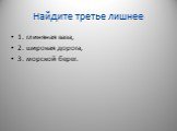 Найдите третье лишнее. 1. глиняная ваза, 2. широкая дорога, 3. морской берег.