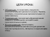 ЦЕЛИ УРОКА: Обучающая: познакомить учащихся с относительными прилагательными. Научить отличать относительные прилагательные от качественных; Развивающая: продолжить формирование навыков правильного употребления прилагательных в речи; Воспитывающая: использовать воспитательные возможности для развити