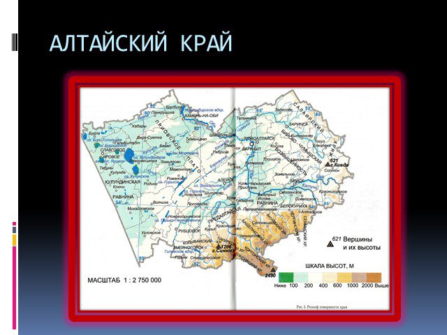 Проекты алтайского края