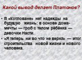 Какой вывод делает Платонов? В «Котловане» нет надежды на будущую жизнь: в основе дома-мечты — гроб с телом рёбёнка — девочки Насти. «Я теперь ни во что не верю!» — итог строительства новой жизни и нового человека.