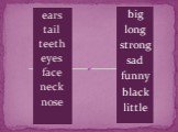ears tail teeth eyes face neck nose. big long strong sad funny black little