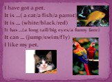 I have got a pet. It is …( a cat/a fish/a parrot) It is … (white/black/red) It has …(a long tail/big eyes/a funny face) It can … (jump/swim/fly) I like my pet.