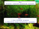 Аквариум – маленькая искусственная экосистема Слайд: 15