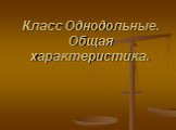 Класс Однодольные. Общая характеристика.