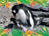 Самый быстрый пловец - папуанский пингвин. скорость 27 км/ч. 