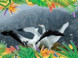 Самый большой размах крыльев – у странствующего альбатроса.  . размах крыльев 3,63 м. 