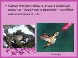 Самые мелкие птицы отряда: в северных широтах – корольки, в тропиках – колибри, масса которых 3 – 6г. Королёк Колибри