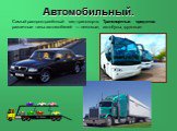 Самый распространённый вид транспорта. Транспортные средства: различные типы автомобилей — легковые, автобусы, грузовые. Автомобильный.