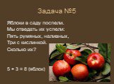 Задача №5. Яблоки в саду поспели. Мы отведать их успели: Пять румяных, наливных, Три с кислинкой. Сколько их? 5 + 3 = 8 (яблок)