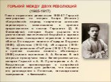 ГОРЬКИЙ МЕЖДУ ДВУХ РЕВОЛЮЦИЙ (1905-1917) После поражения революции 1905-07 Горький эмигрировал на остров Капри (Италия). «Каприйский» период творчества заставил пересмотреть сложившееся в критике представление о «конце Горького» (Д. В. Философов), которое было вызвано его увлечениями политической бо